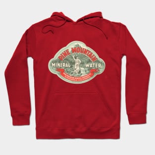 Vintage Pine Mountain Mineral Water Label Hoodie